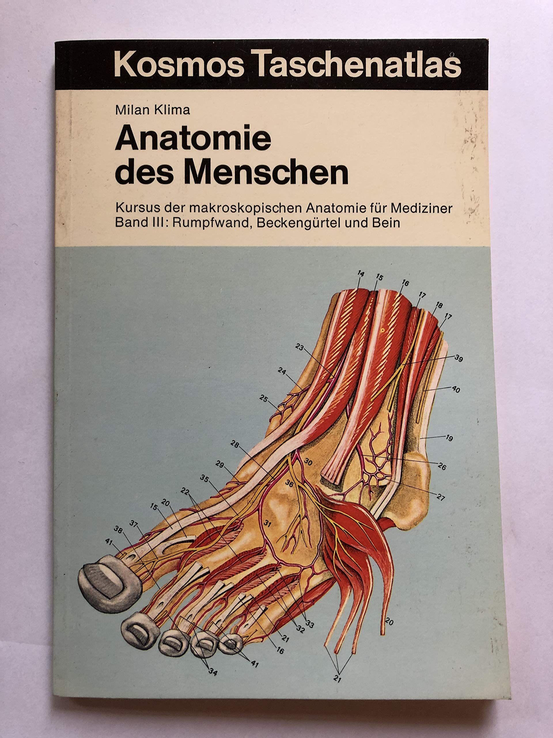 Anatomie des Menschen III. Rumpfwand, Beckengürtel und Bein. Kursus der makroskopischen Anatomie für Mediziner Medicine