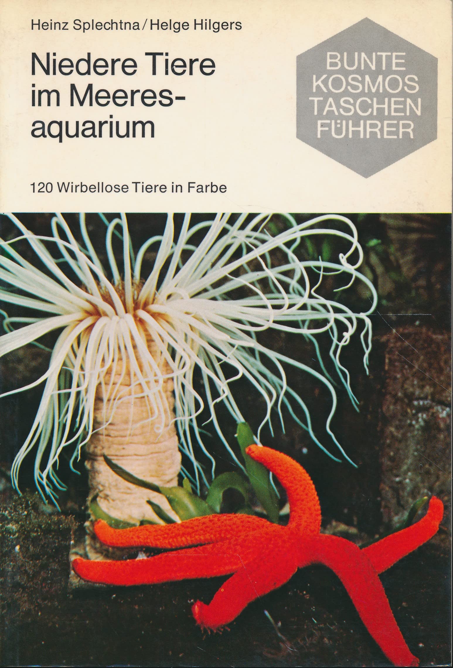 Niedere Tiere im Meeresaquarium. 120 Wirbellose Tiere in Farbe Business & Technology