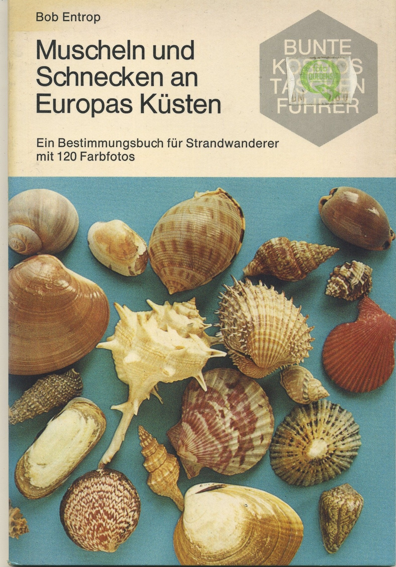Muscheln und Schnecken an Europas Küsten. Ein Bestimmungsbuch für Strandwanderer Business & Technology