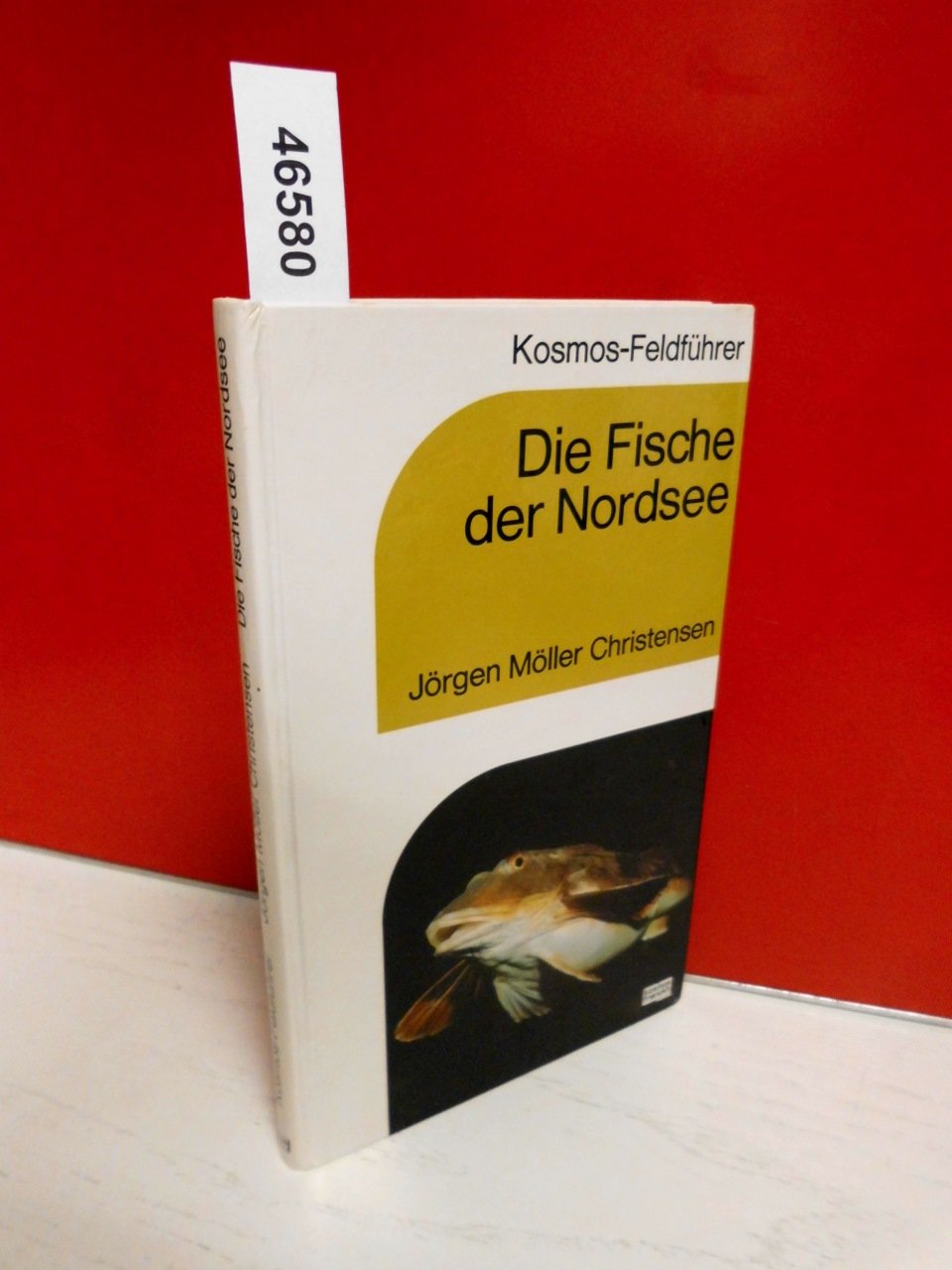 Product Image: Die Fische der Nordsee