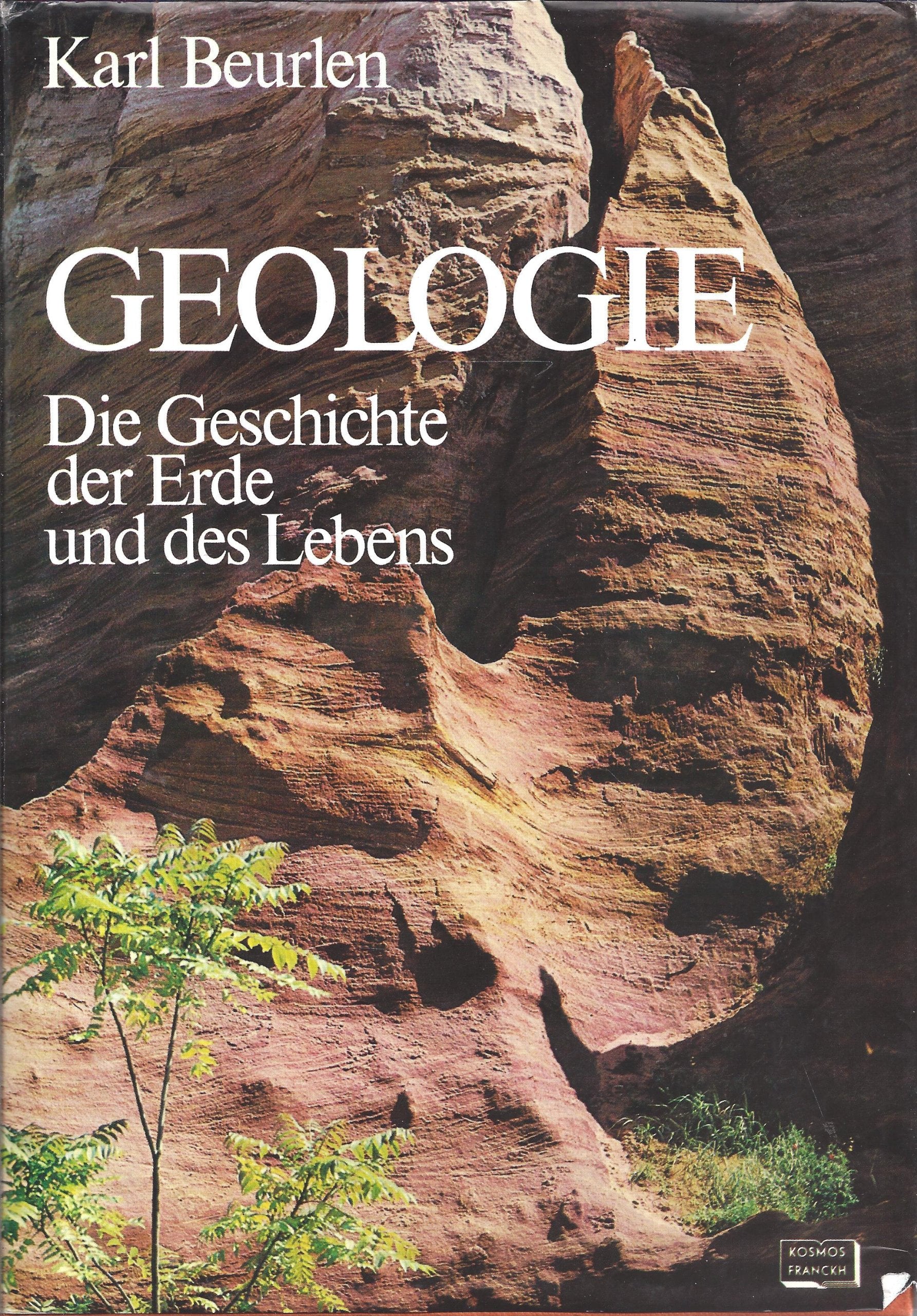 Geologie. Die Geschichte der Erde und des Lebens Business & Technology