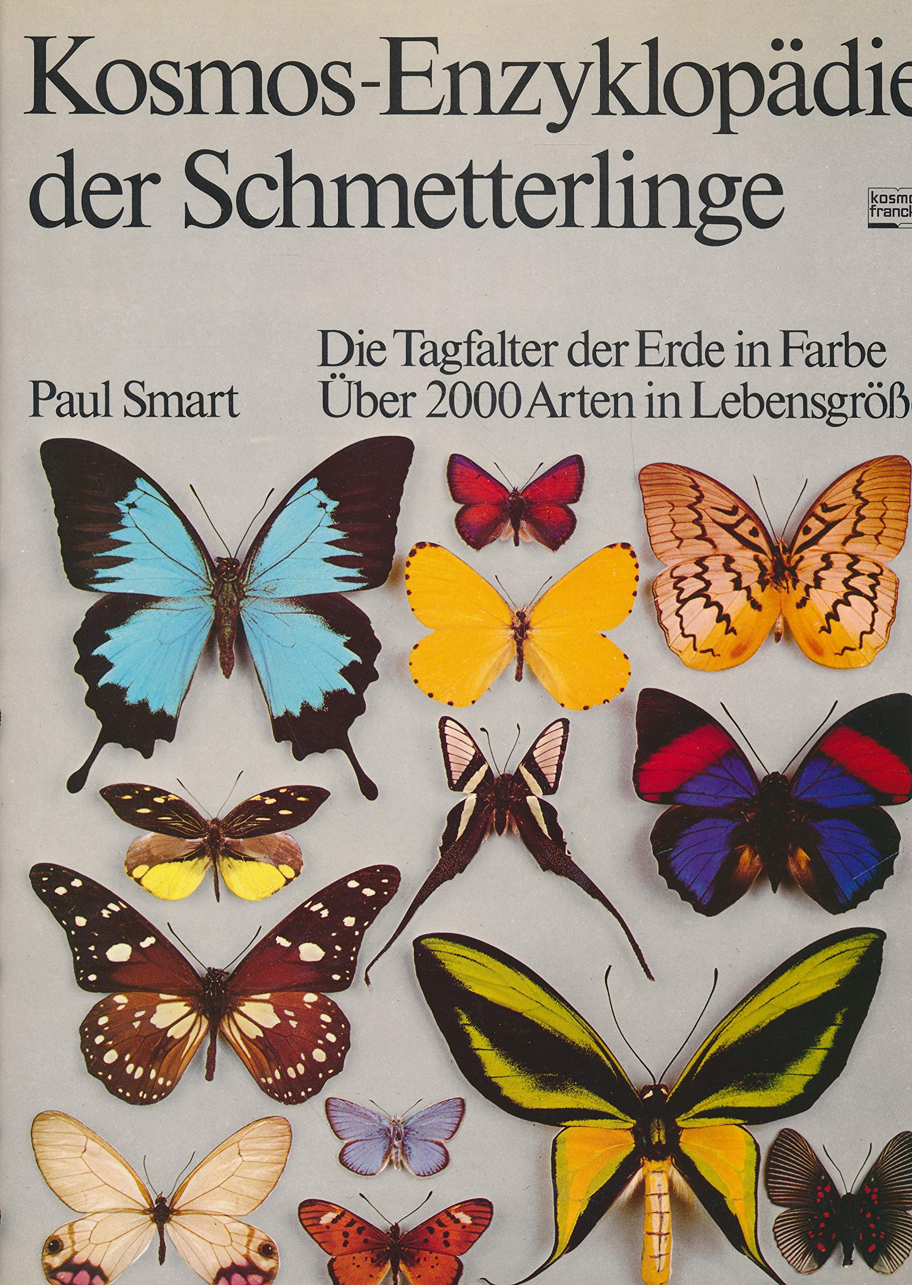 Kosmos - Enzyklopädie der Schmetterlinge Learning & Reference