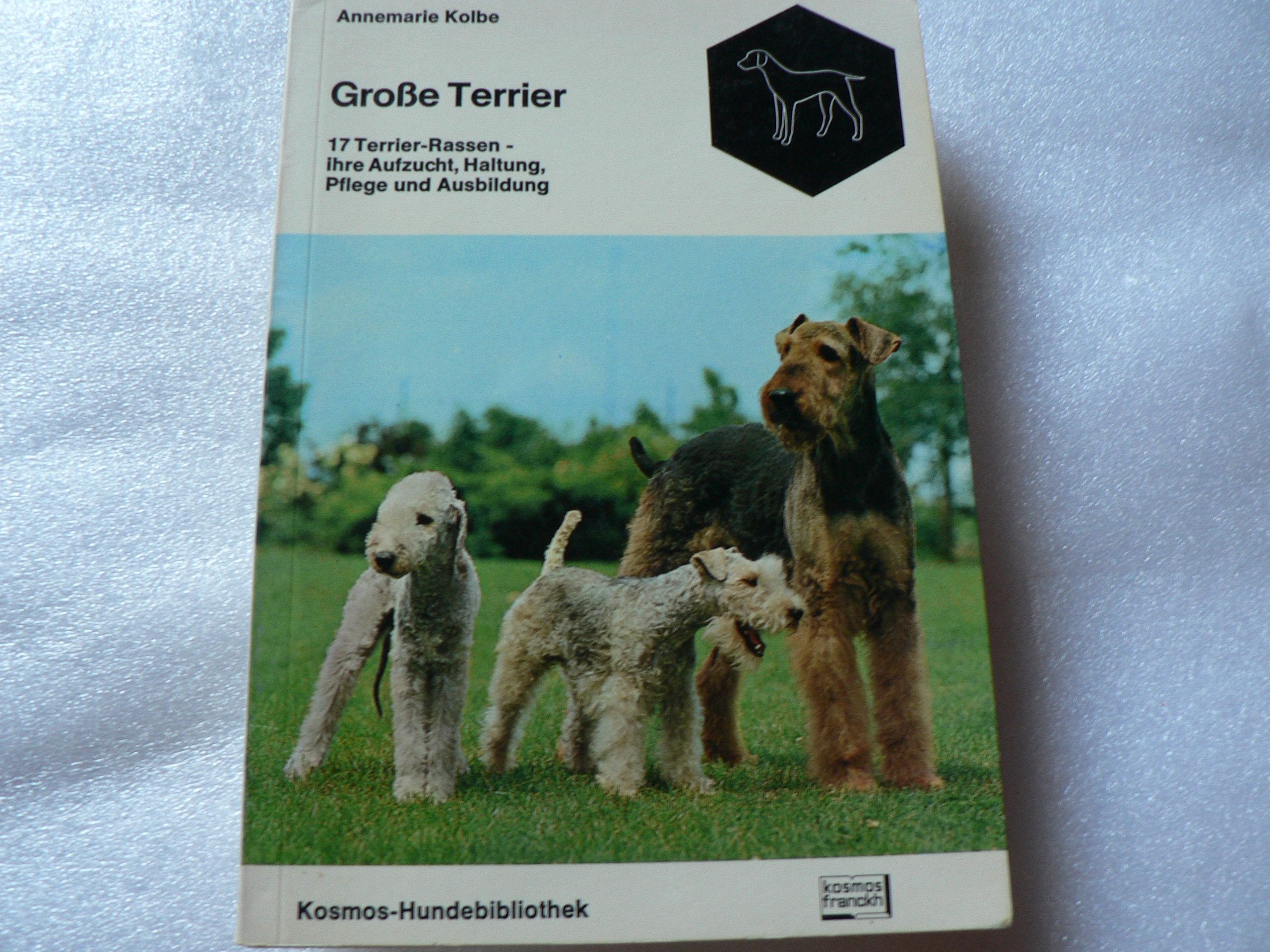Große Terrier Pets