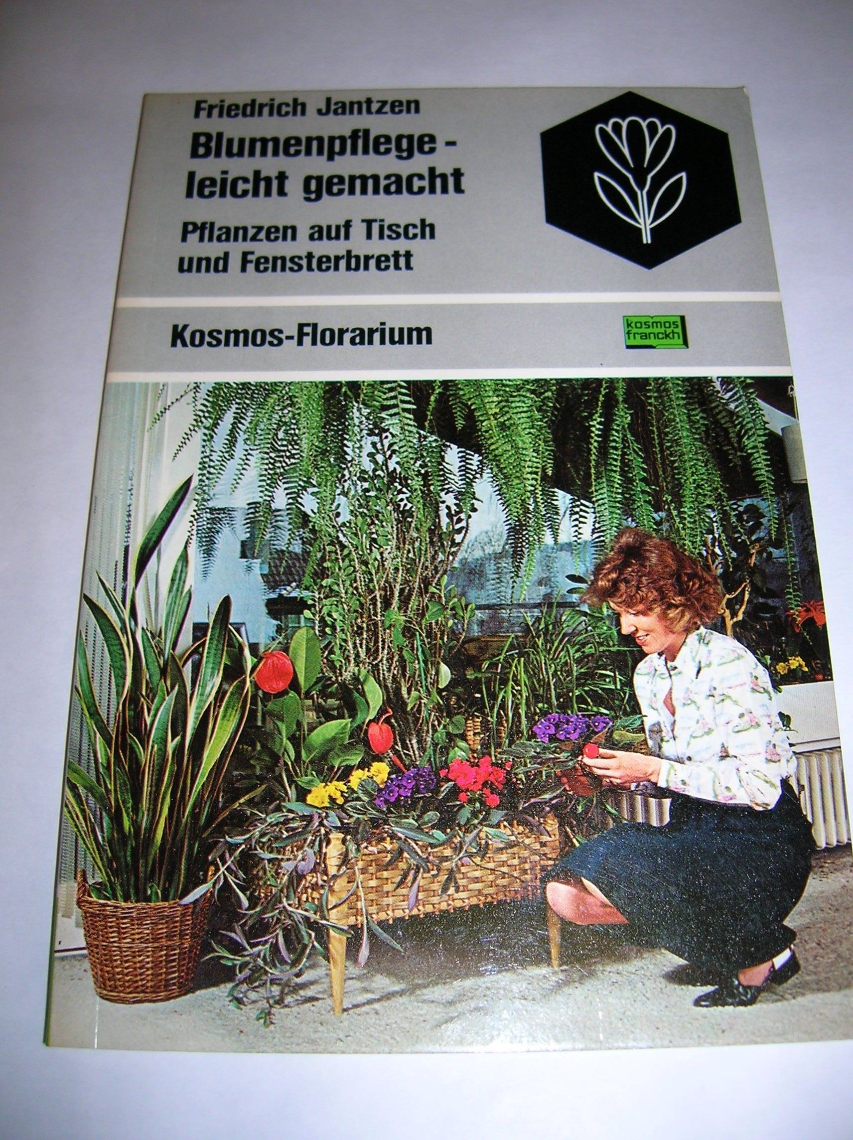 Blumenpflege leicht gemacht. Pflanzen auf Tisch und Fensterbrett Leisure, Home & Garden