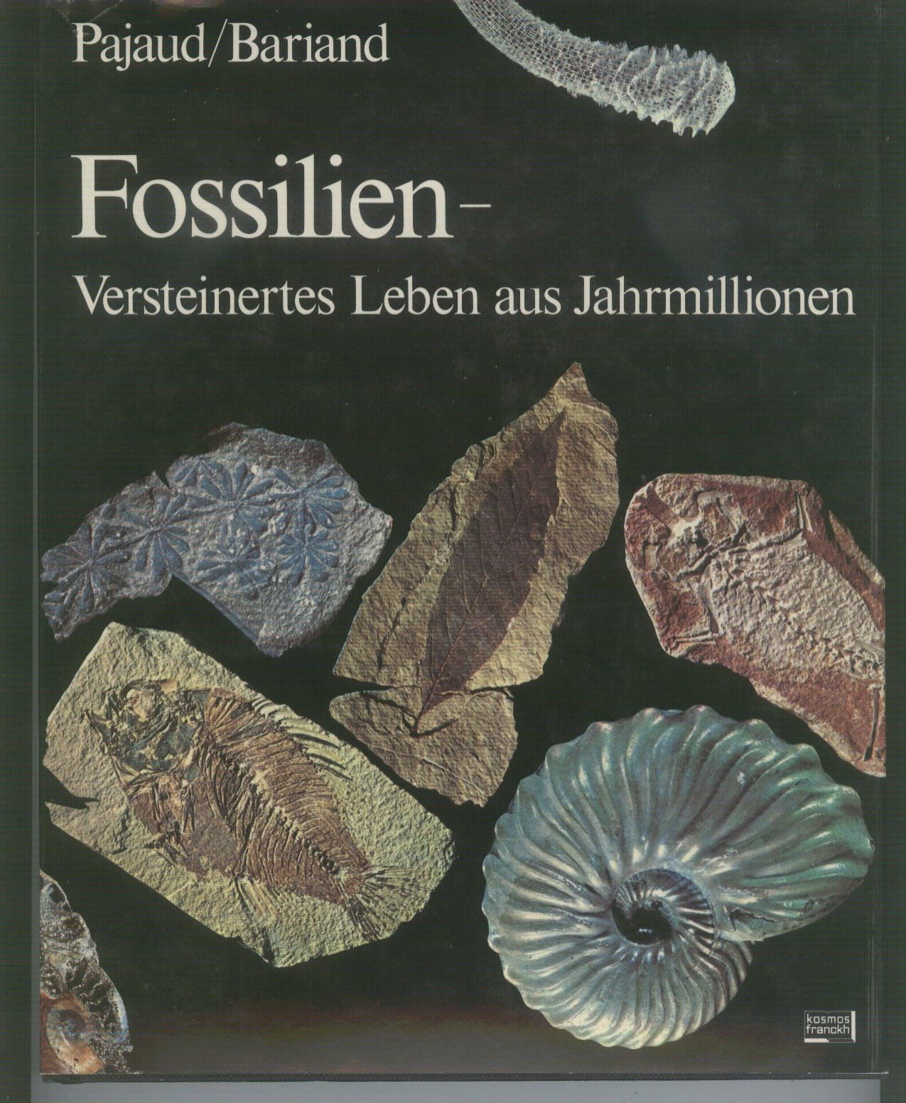 Fossilien. Versteinertes Leben aus Jahrmillionen Books