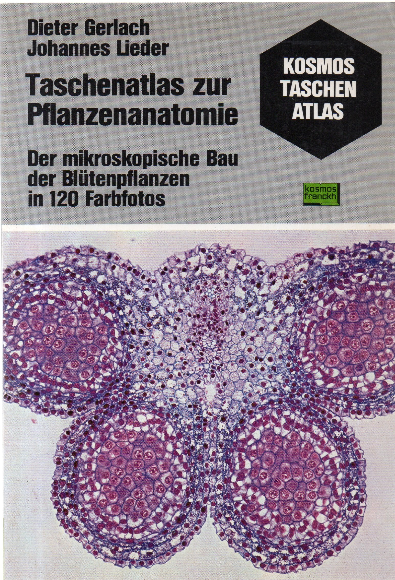 Taschenatlas zur Pflanzenanatomie. Der mikroskopische Bau der Blütenpflanzen Leisure, Home & Garden