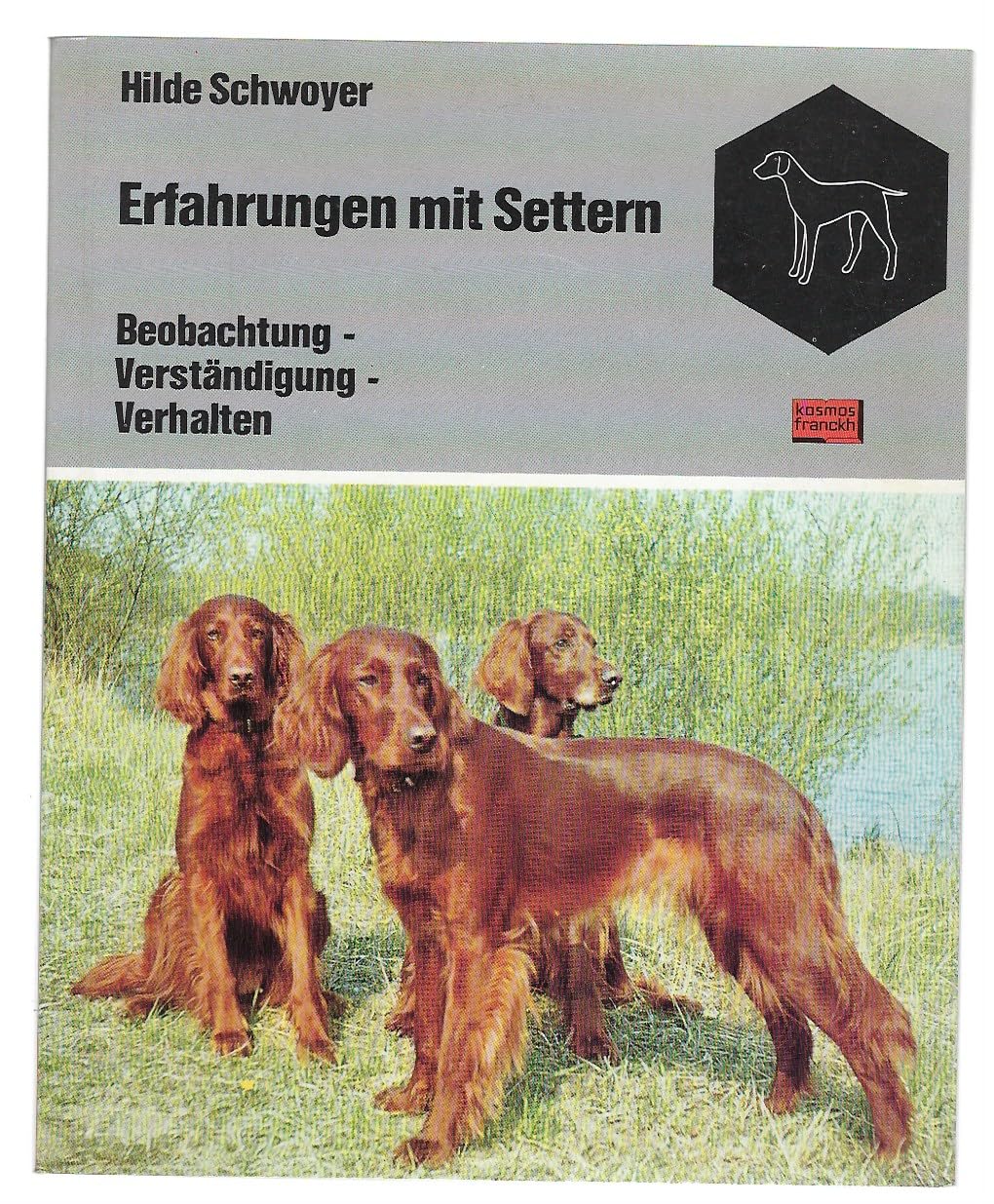Erfahrungen mit Settern. Beobachtung, Verständigung, Verhalten Pets