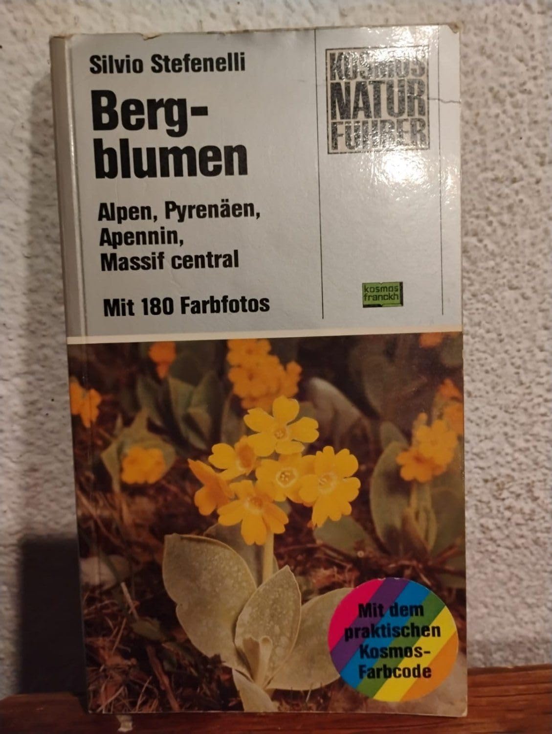 Bergblumen. Alpen, Pyrenäen, Apennin, Massif central Business & Technology