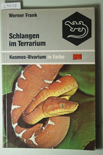 Schlangen im Terrarium. Haltung und Pflege ungiftiger Schlangen Pets
