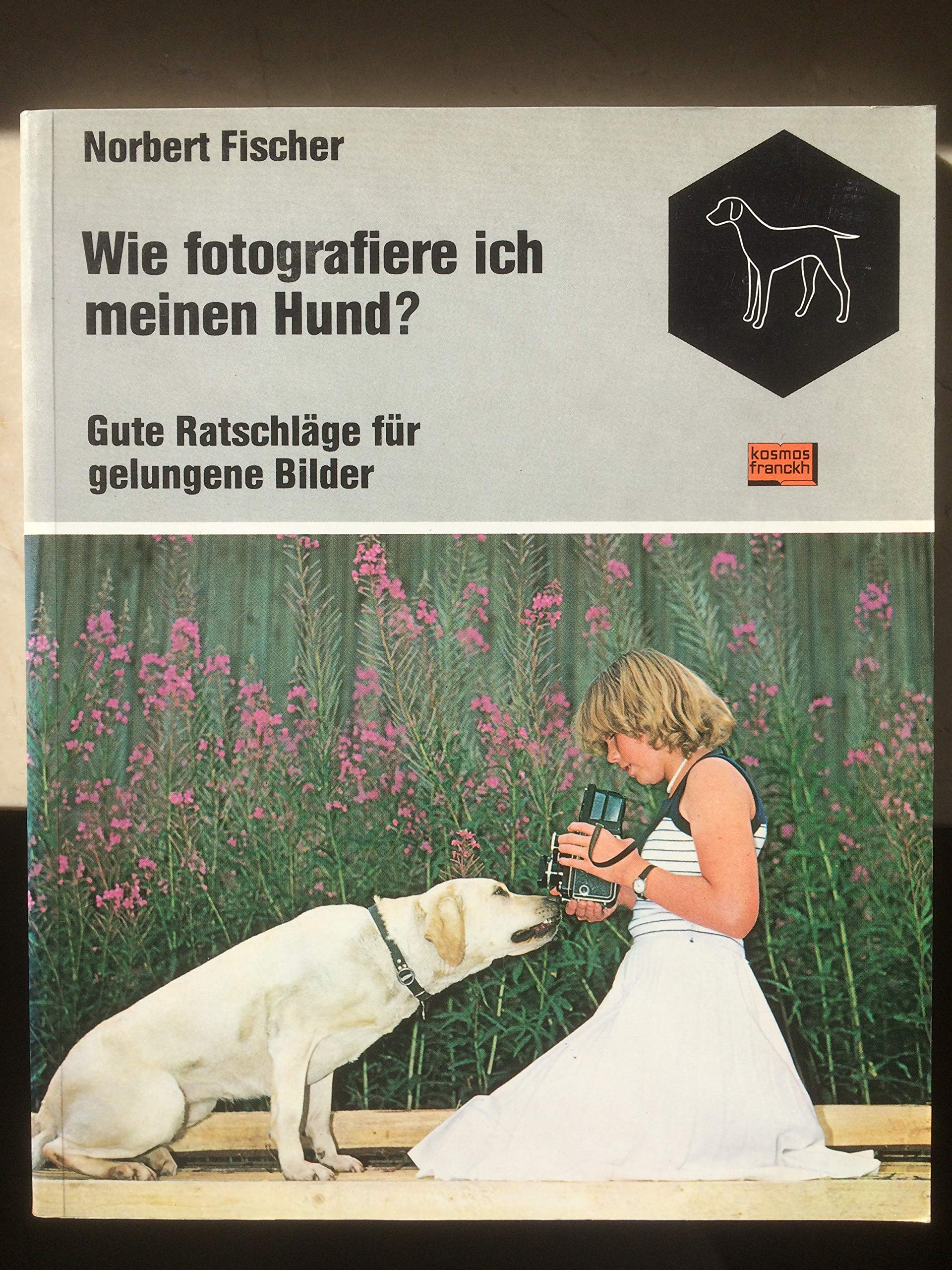 Wie fotografiere ich meinen Hund? Gute Ratschläge für gelungene Bilder Pets
