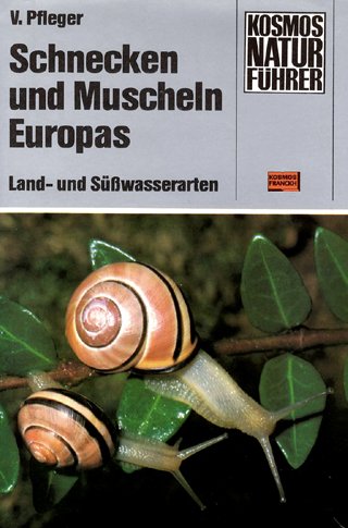 Schnecken und Muscheln Europas. Land- und Süßwasserarten Natural Sciences