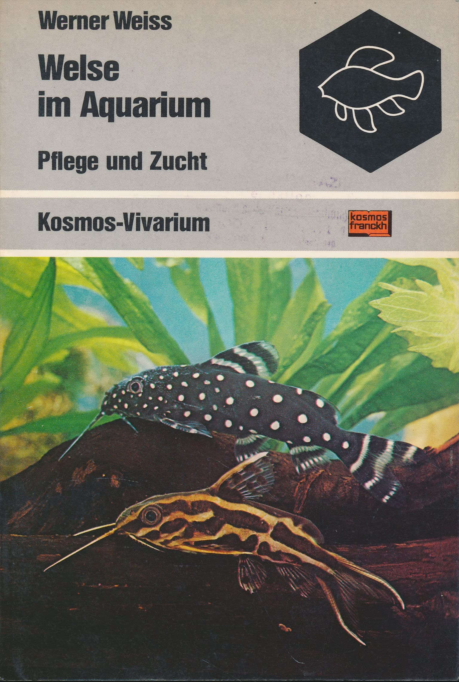Product Image: Welse im Aquarium. Pflege und Zucht