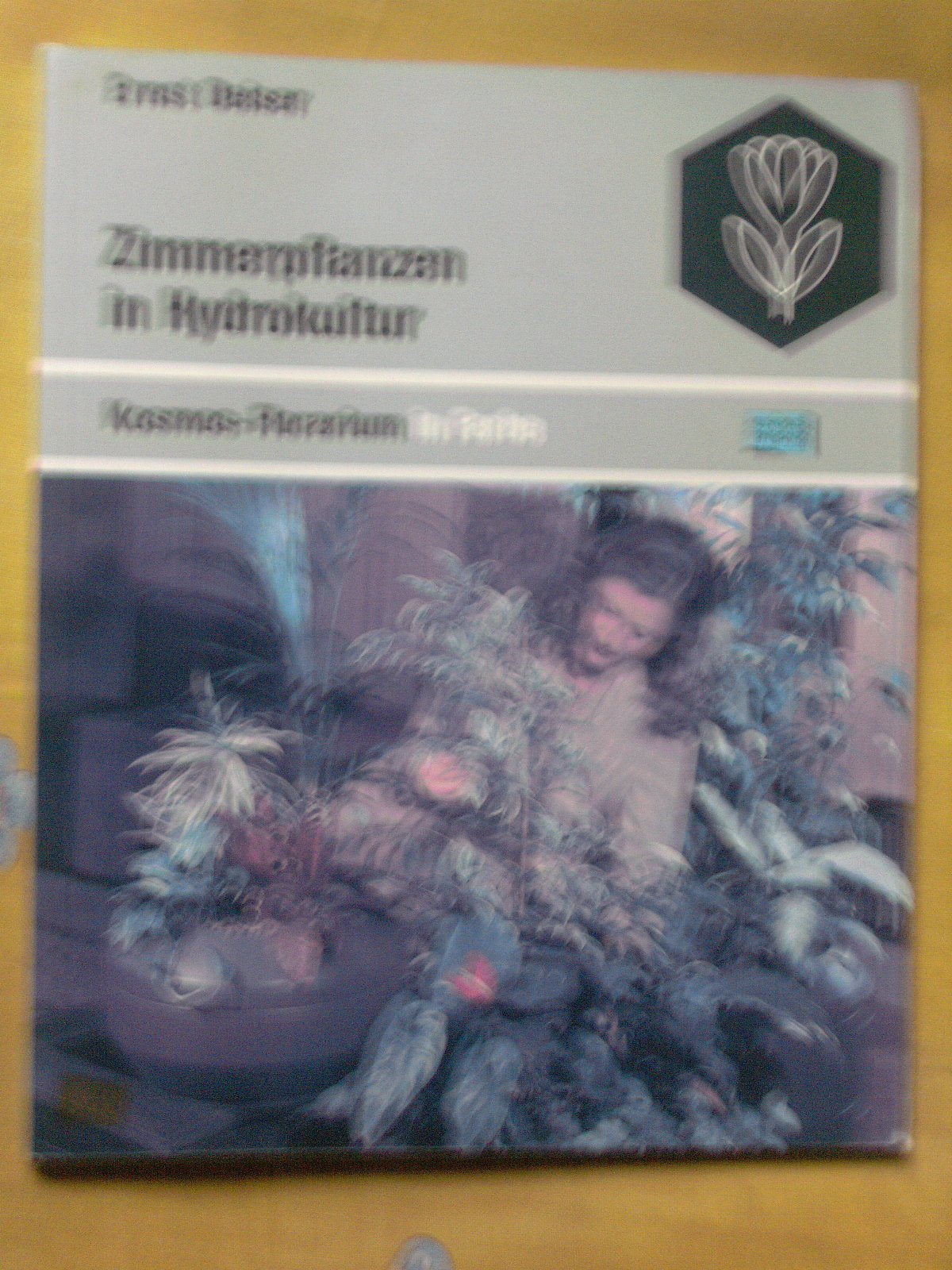 Product Image: Zimmerpflanzen in Hydrokultur