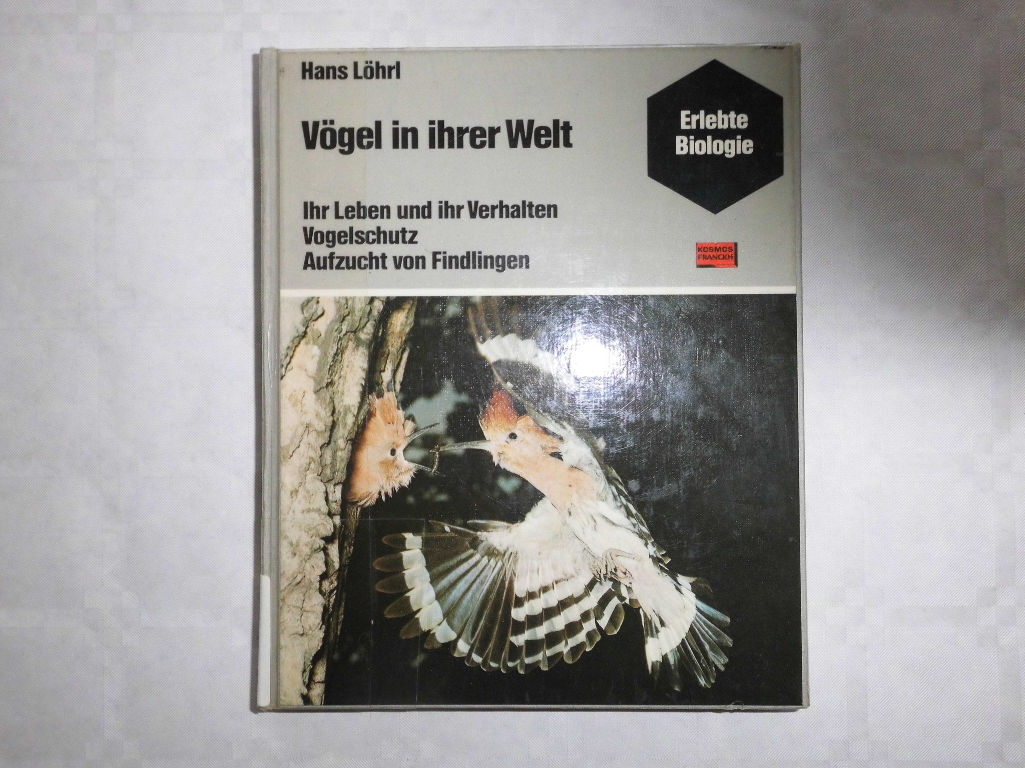 So leben unsere Vögel - Vögel in ihrer Welt Pets