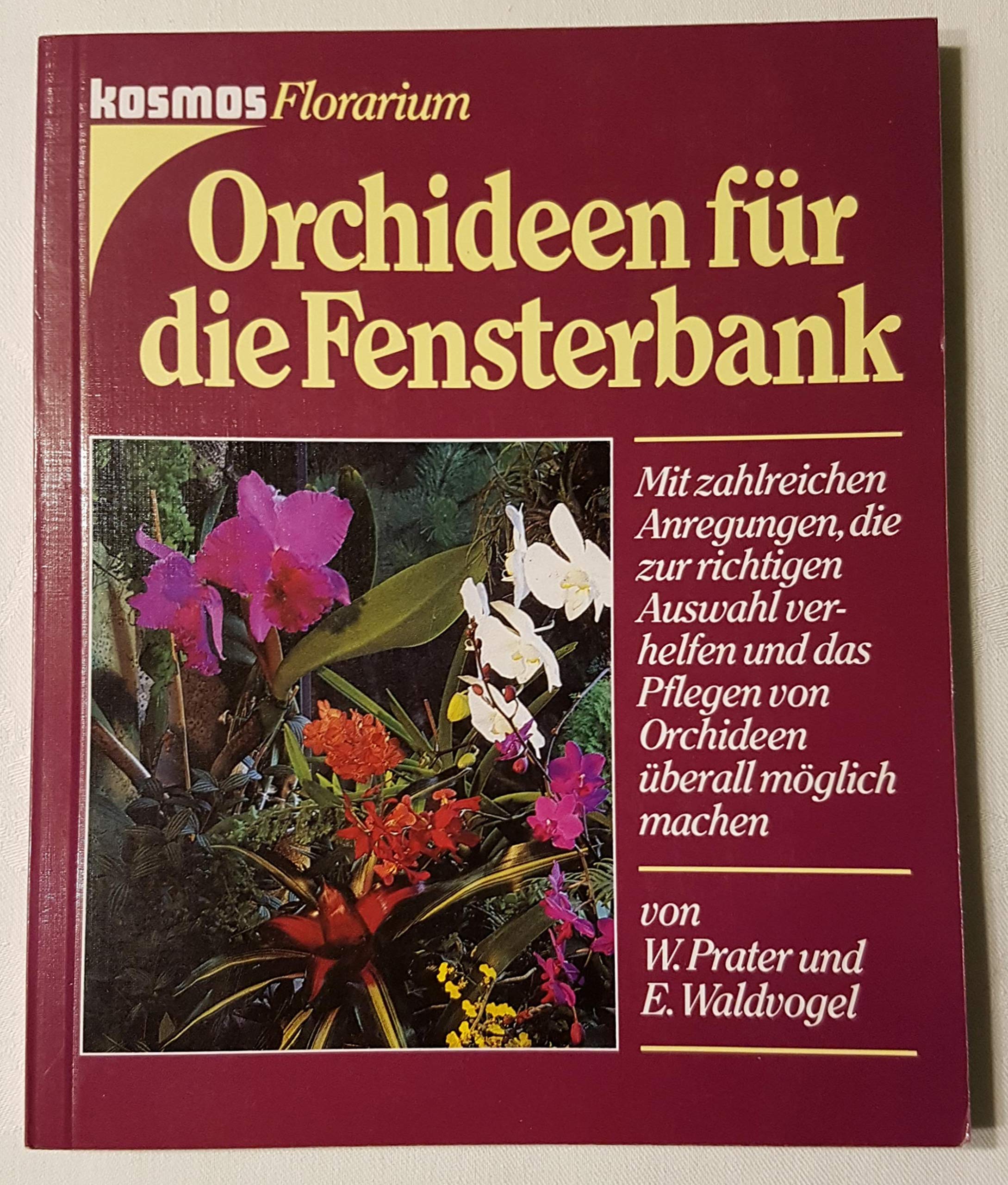 Orchideen für die Fensterbank. (6706 142). Gestaltung, Pflanzung, Pflege Garden & Plants