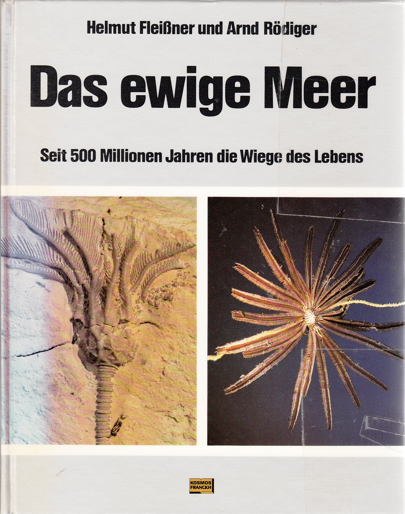 Das ewige Meer. Seit 500 Millionen Jahren die Wiege des Lebens Books