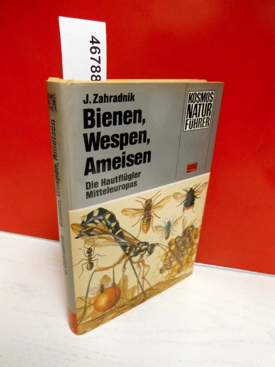 Bienen, Wespen, Ameisen. Die Hautflügler Mitteleuropas Natural Sciences