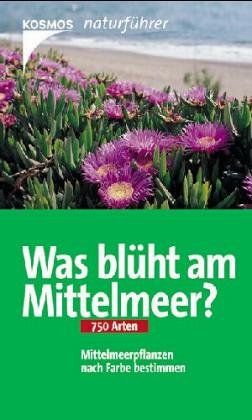 Was blüht am Mittelmeer? Natural Sciences
