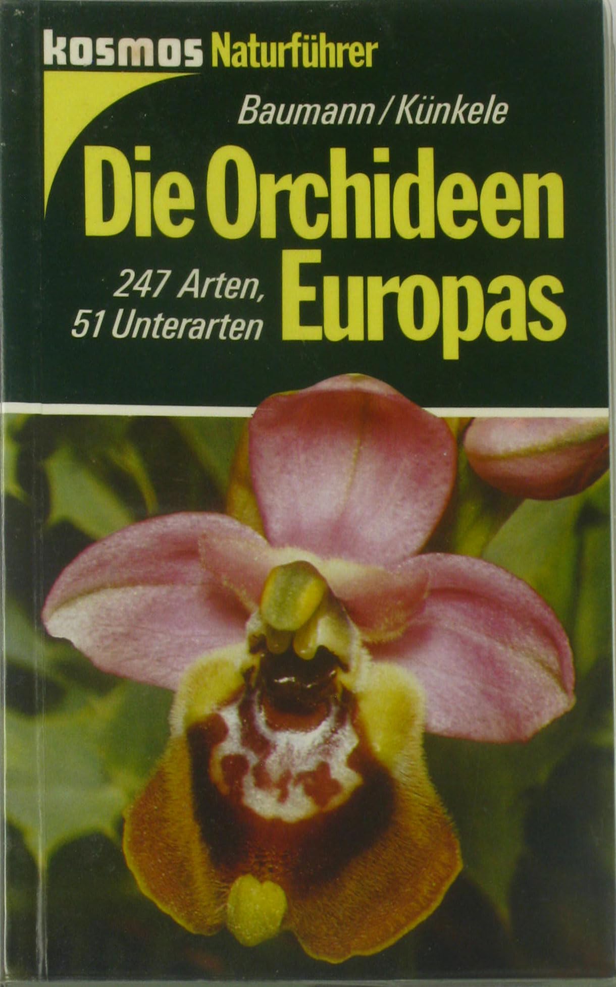 Die Orchideen Europas Garden & Plants Books