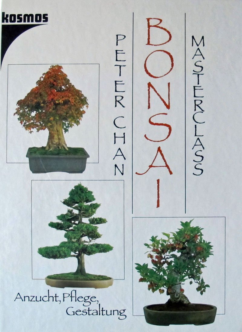 Product Image: Bonsai masterclass