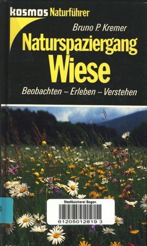 Naturspaziergang Wiese Business & Technology