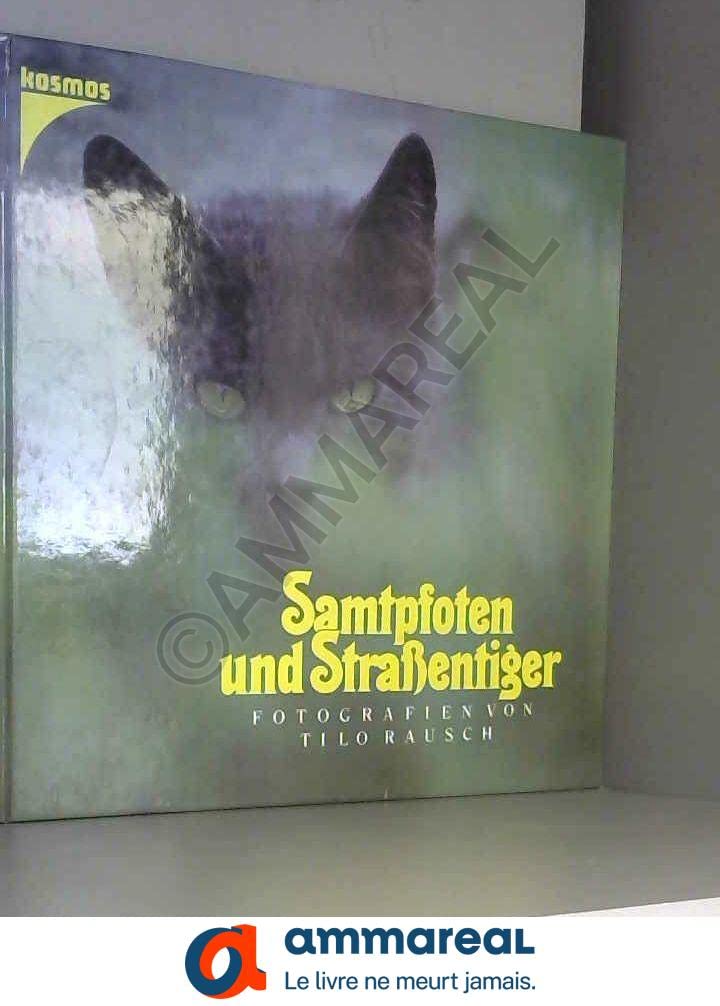 Samtpfoten und Strassentiger. Fotografien Film, Art & Culture