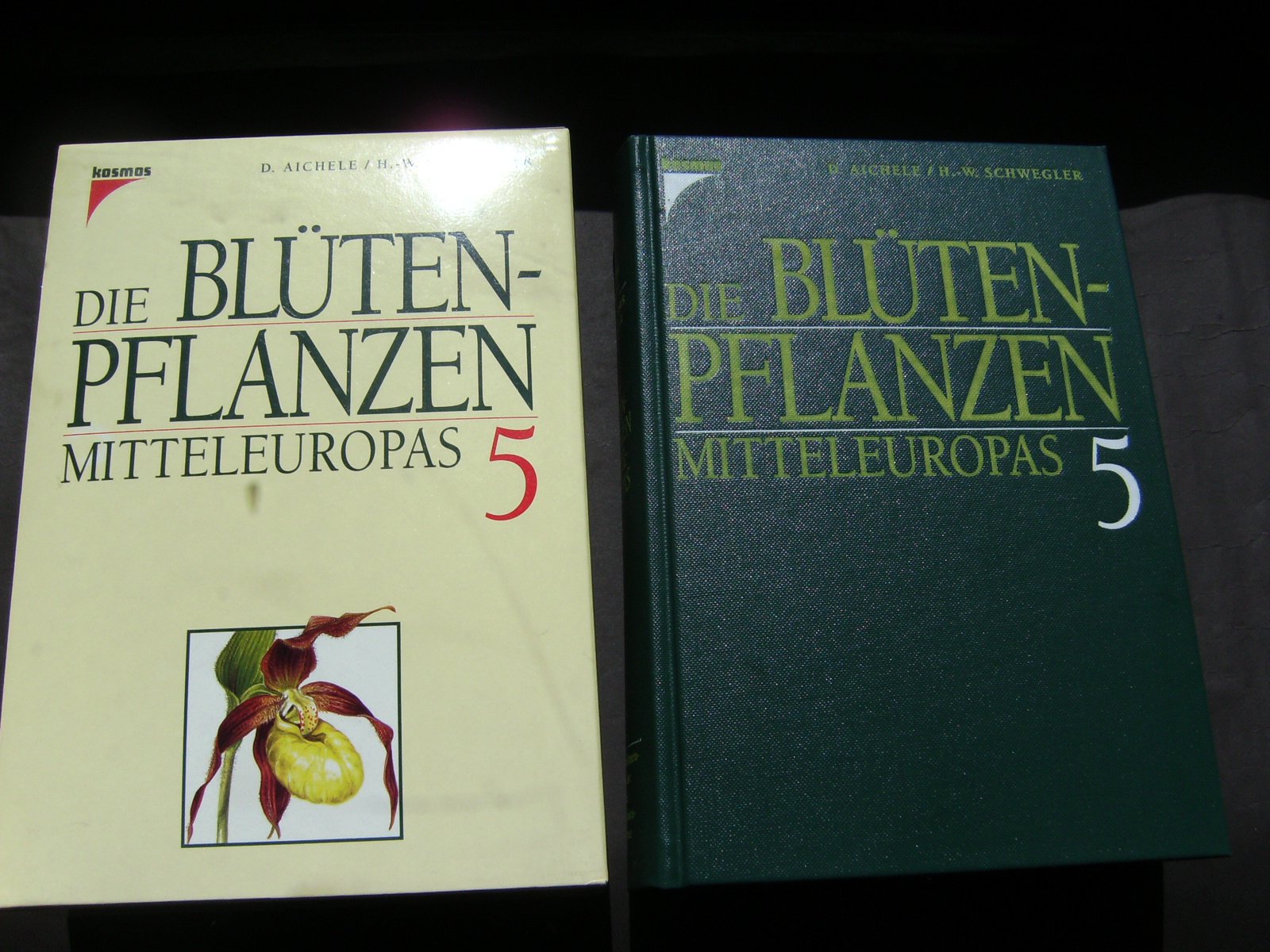 Die Bluetenpflanzen Mitteleuropas Band 5.Schwanenblumengewaechse bis Wasserlinsengewaechse Books