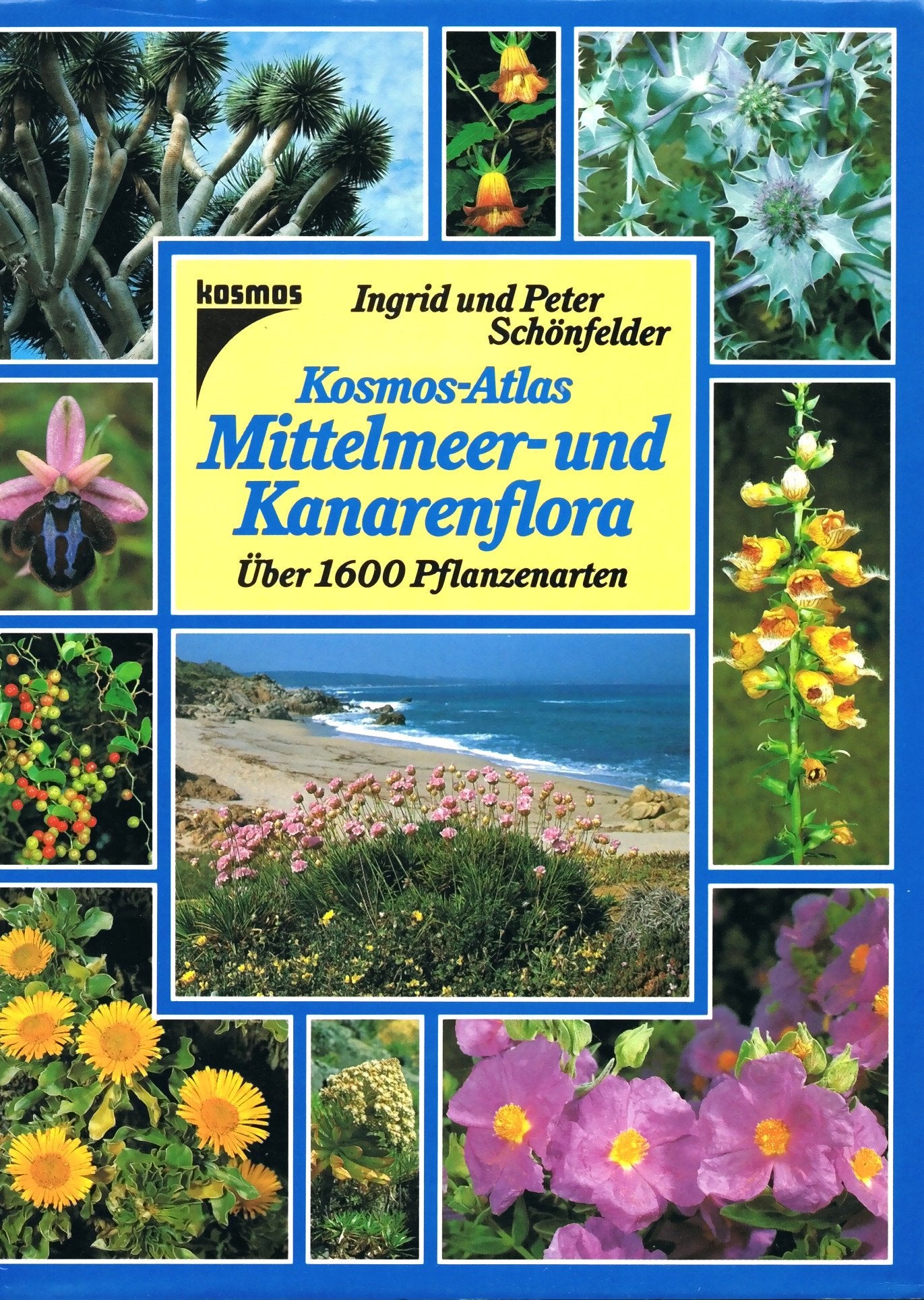 Kosmos-Atlas Mittelmeerflora und Kanarenflora Leisure, Home & Garden