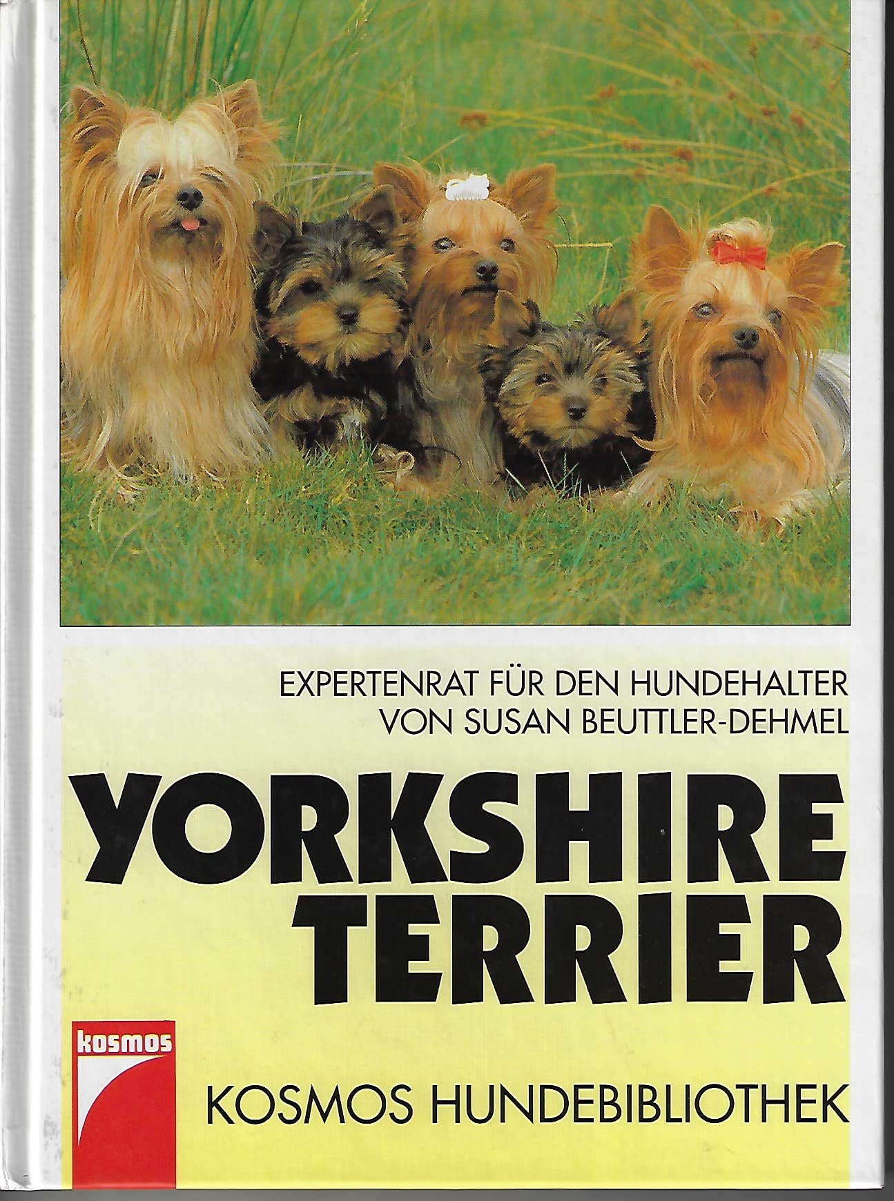 Product Image: Yorkshire Terrier