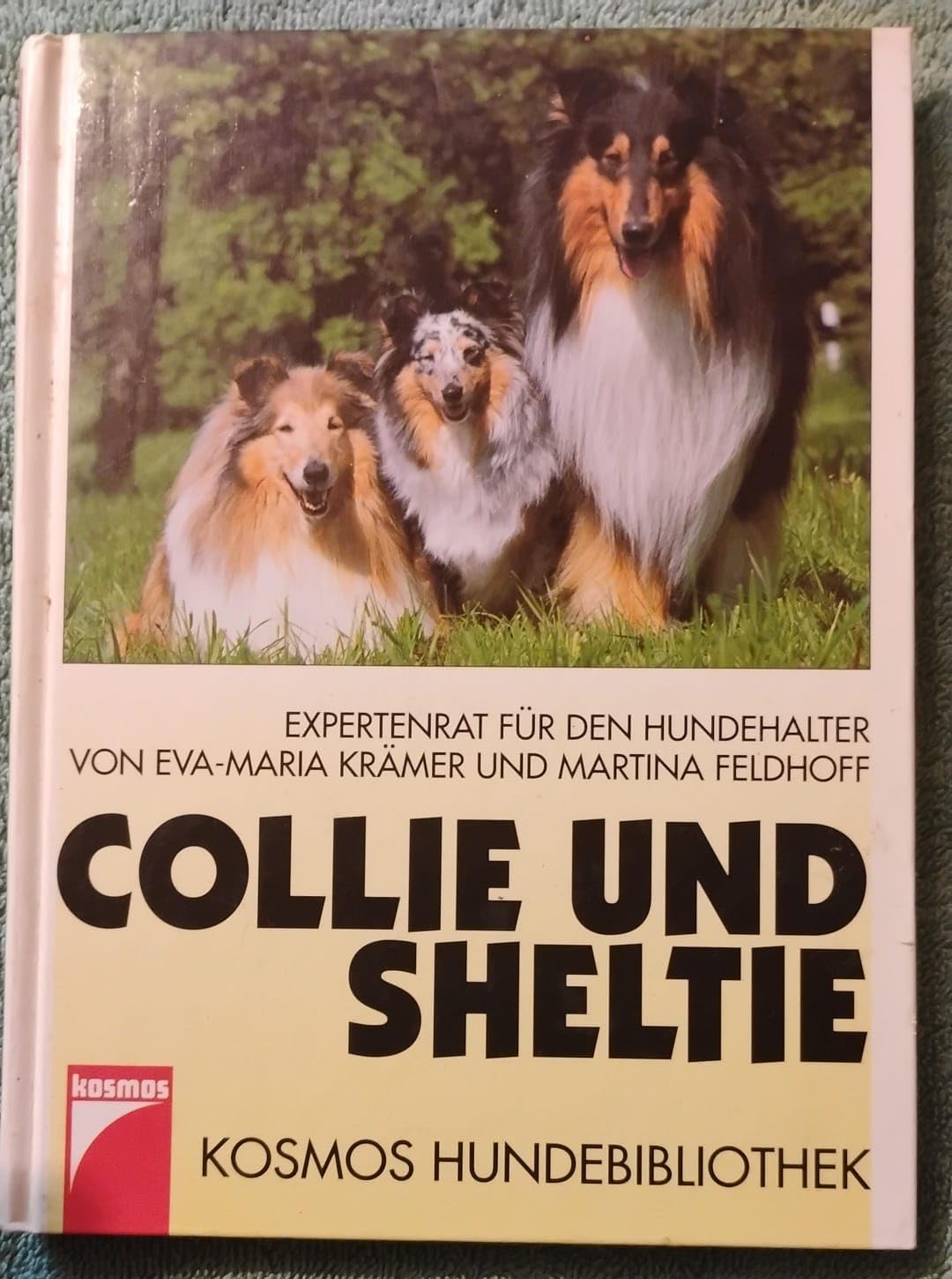 Product Image: Collie und Sheltie. Expertenrat für den Hundehalter