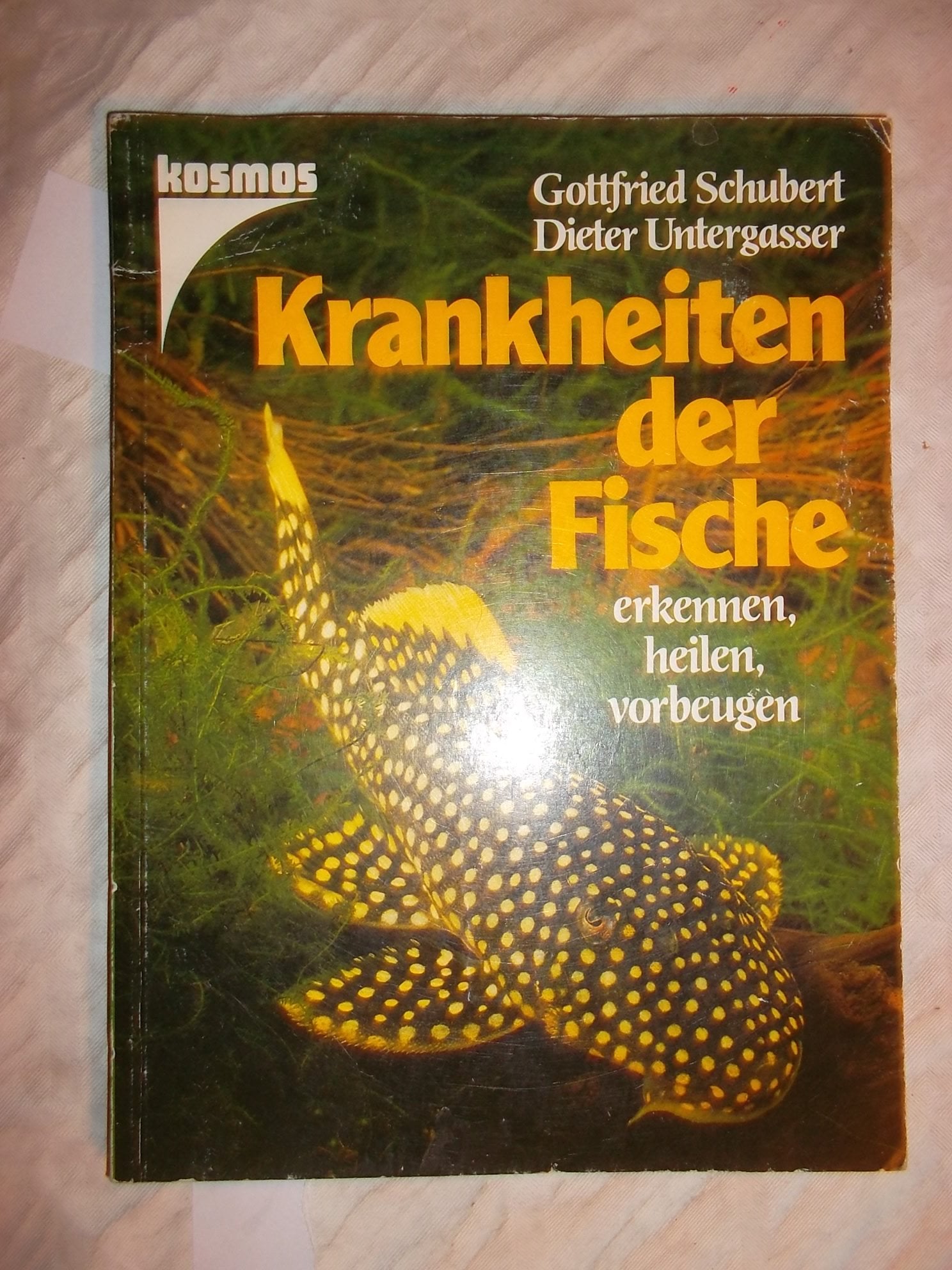 Krankheiten der Fische. Erkennen, heilen, vorbeugen Medicine