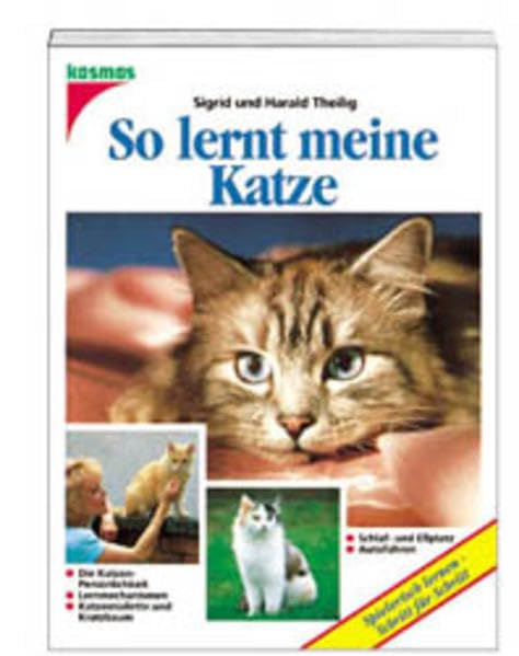 So lernt meine Katze Pets