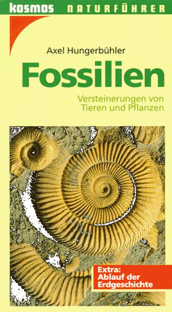 Fossilien. Versteinerungen von Tieren und Pflanzen. Extra: Ablauf der Erdgeschichte Leisure, Home & Garden