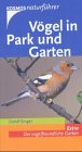Vögel in Park und Garten Pets
