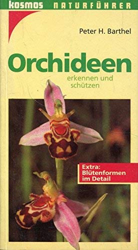 Orchideen erkennen und schützen (Naturführer) Garden & Plants