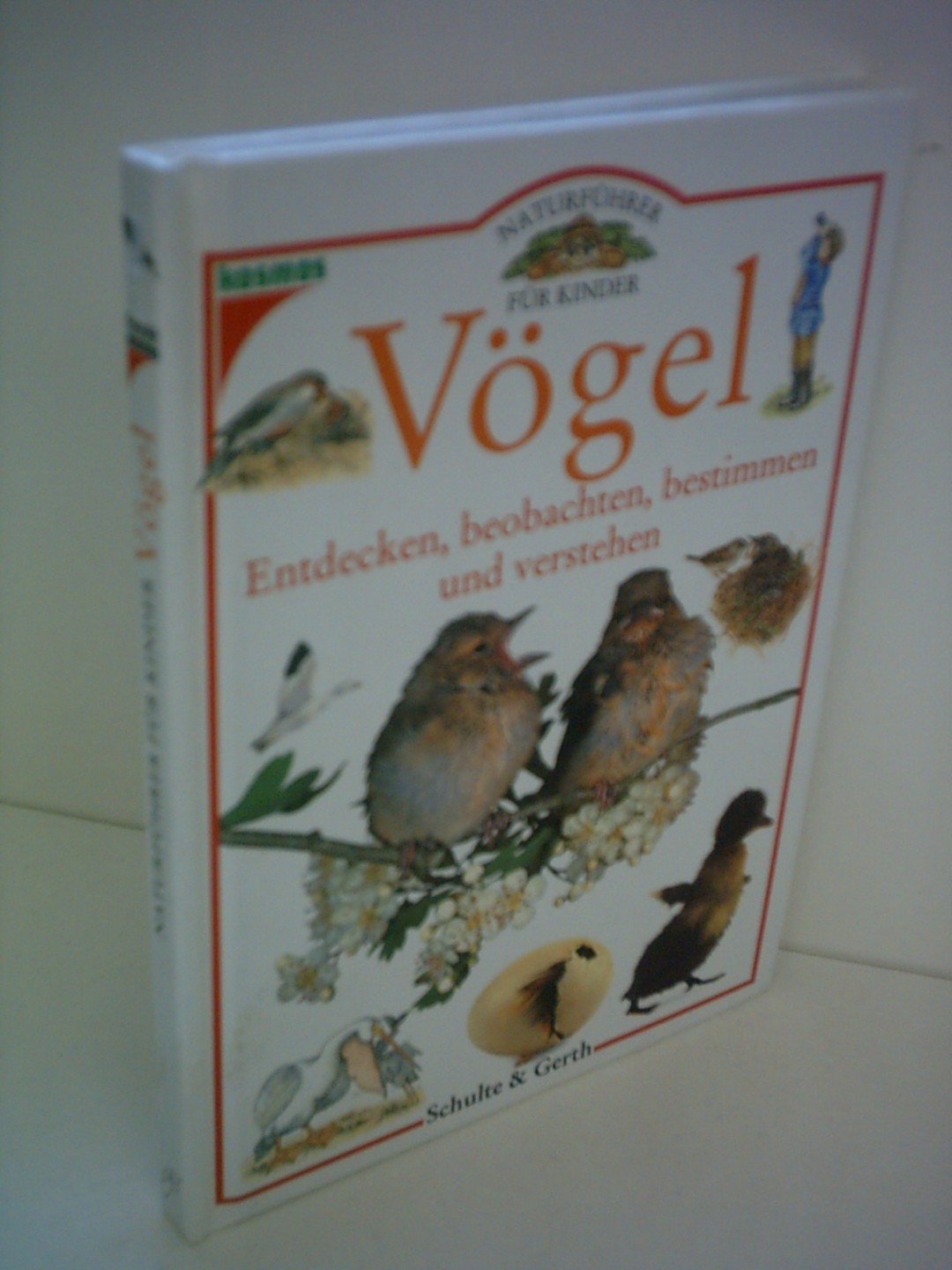 Vögel Non-fiction