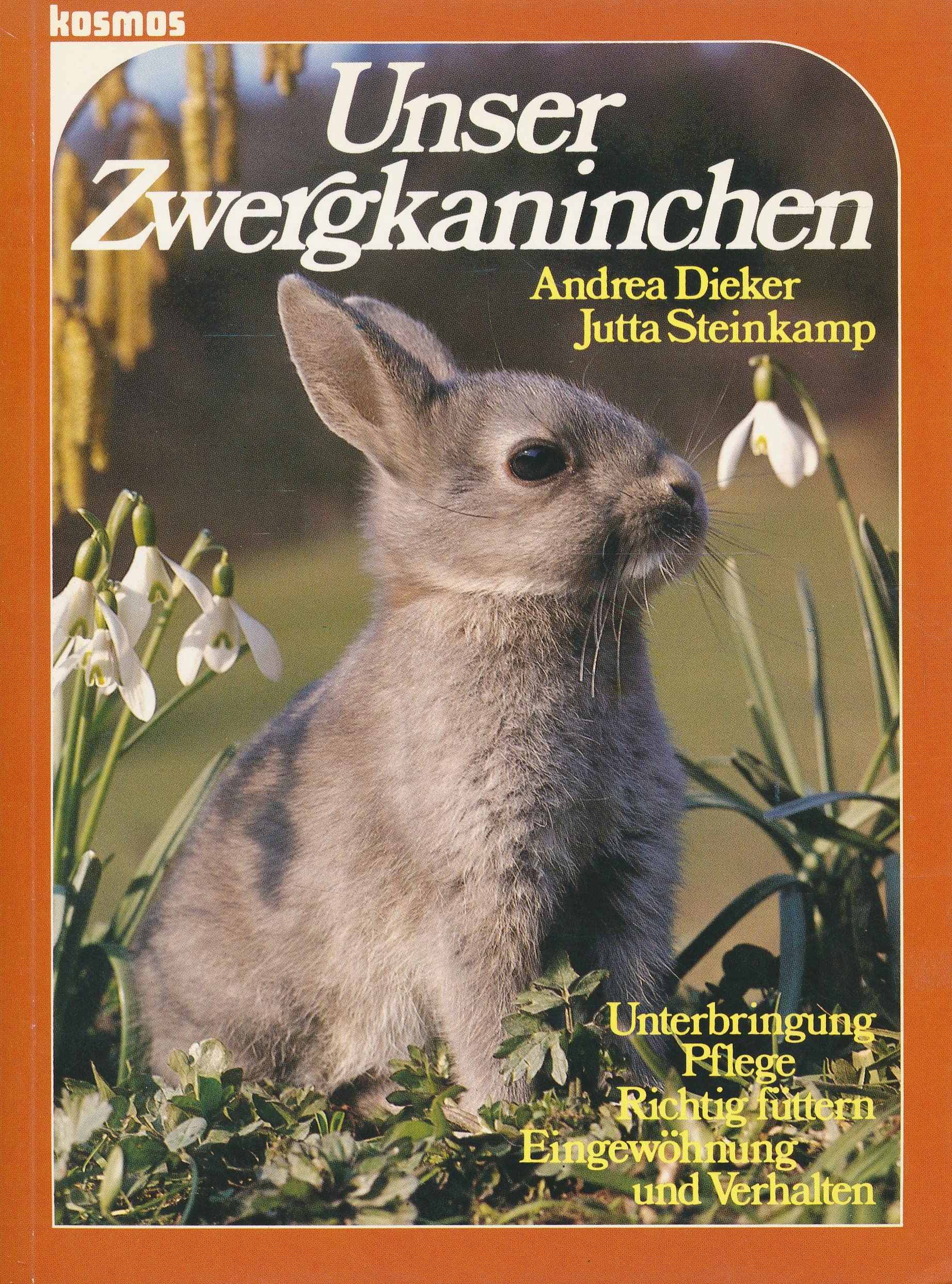 Unser Zwergkaninchen Leisure, Home & Garden