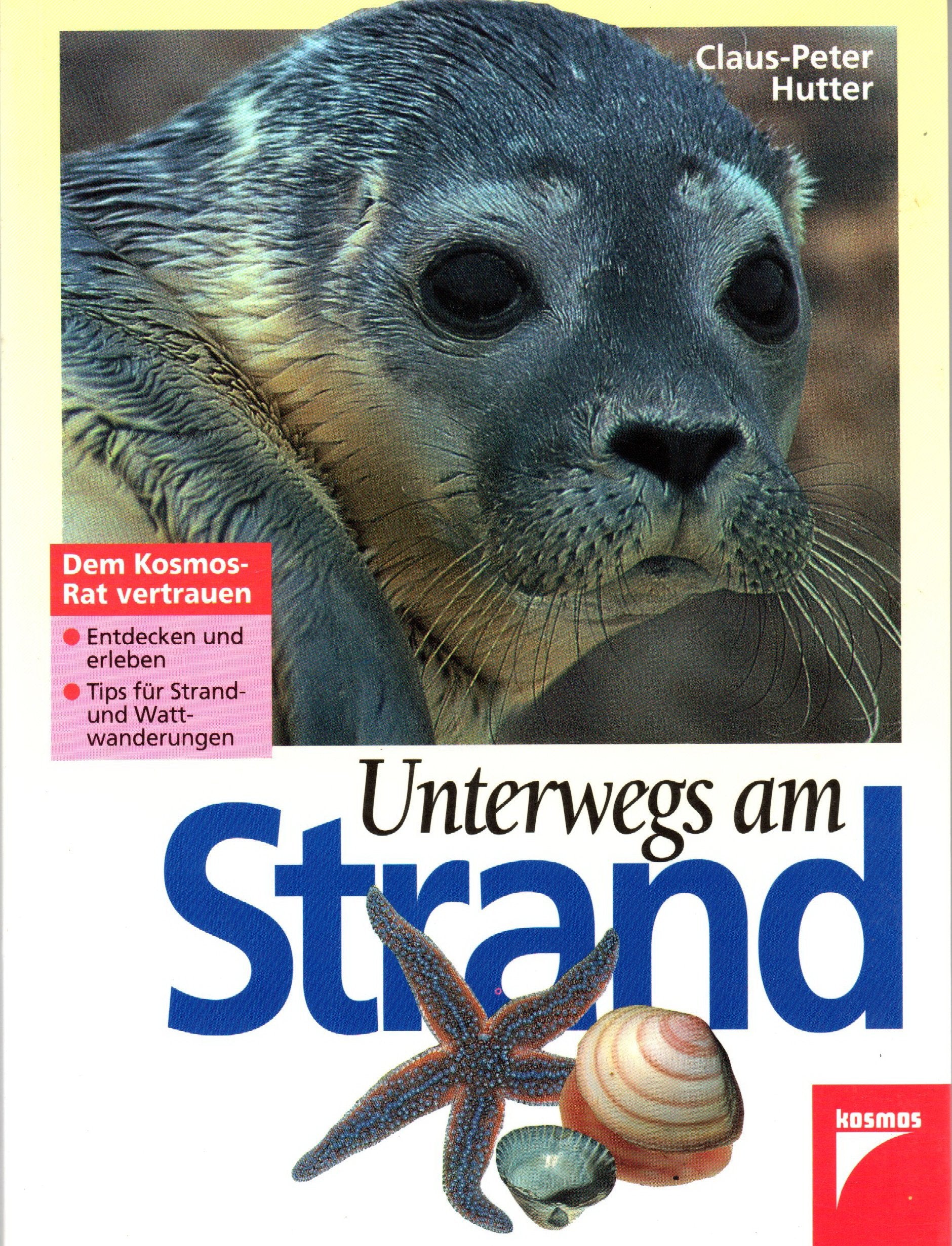 Unterwegs am Strand Business & Technology