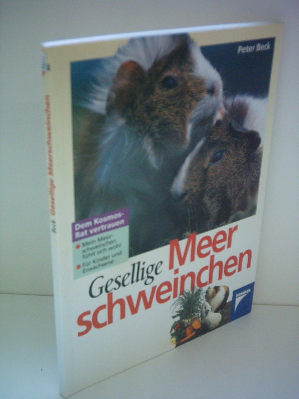 Gesellige Meerschweinchen Books about Pets