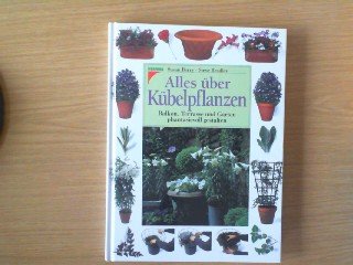 Alles über Kübelpflanzen Garden & Plants