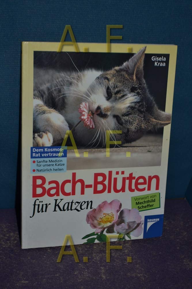Bach-Blüten für Katzen Medicine Books