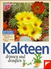 Kakteen drinnen und draußen Garden & Plants