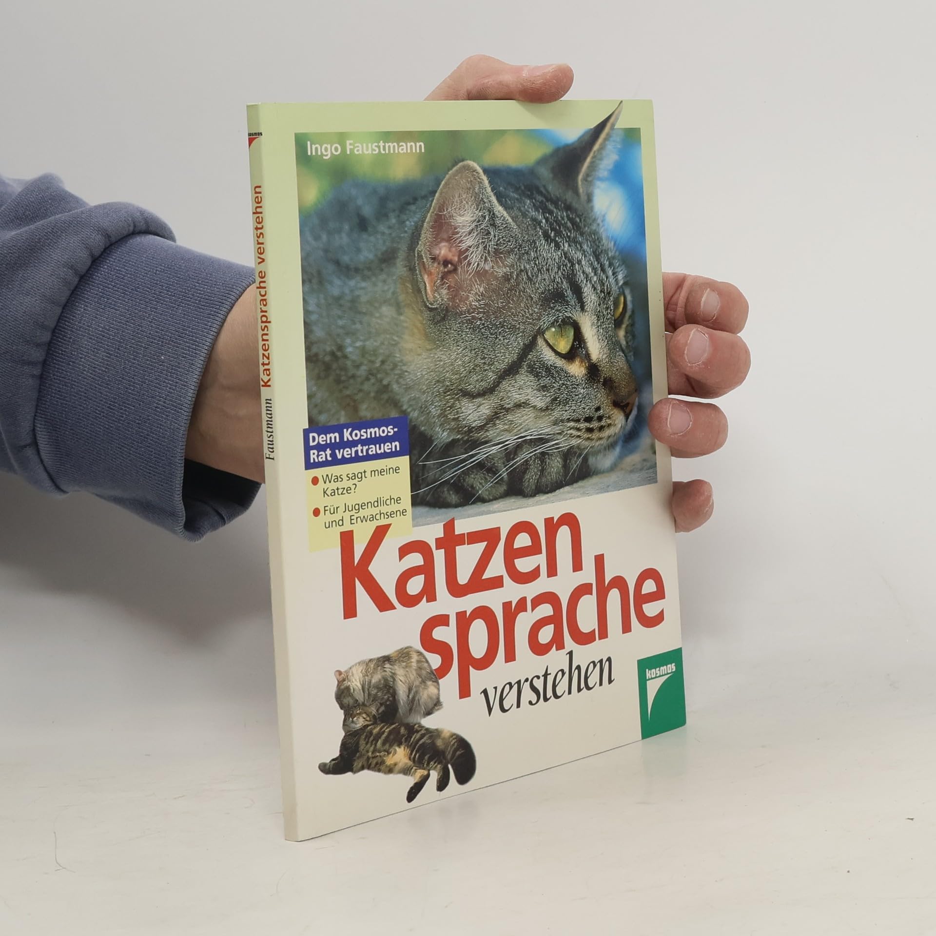 Katzensprache verstehen Pets