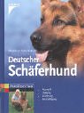 Deutscher Schäferhund Pets