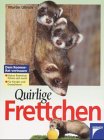 Quirlige Frettchen Pets