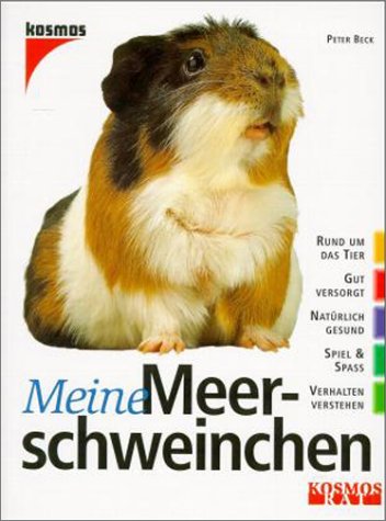 Meine Meerschweinchen Pets
