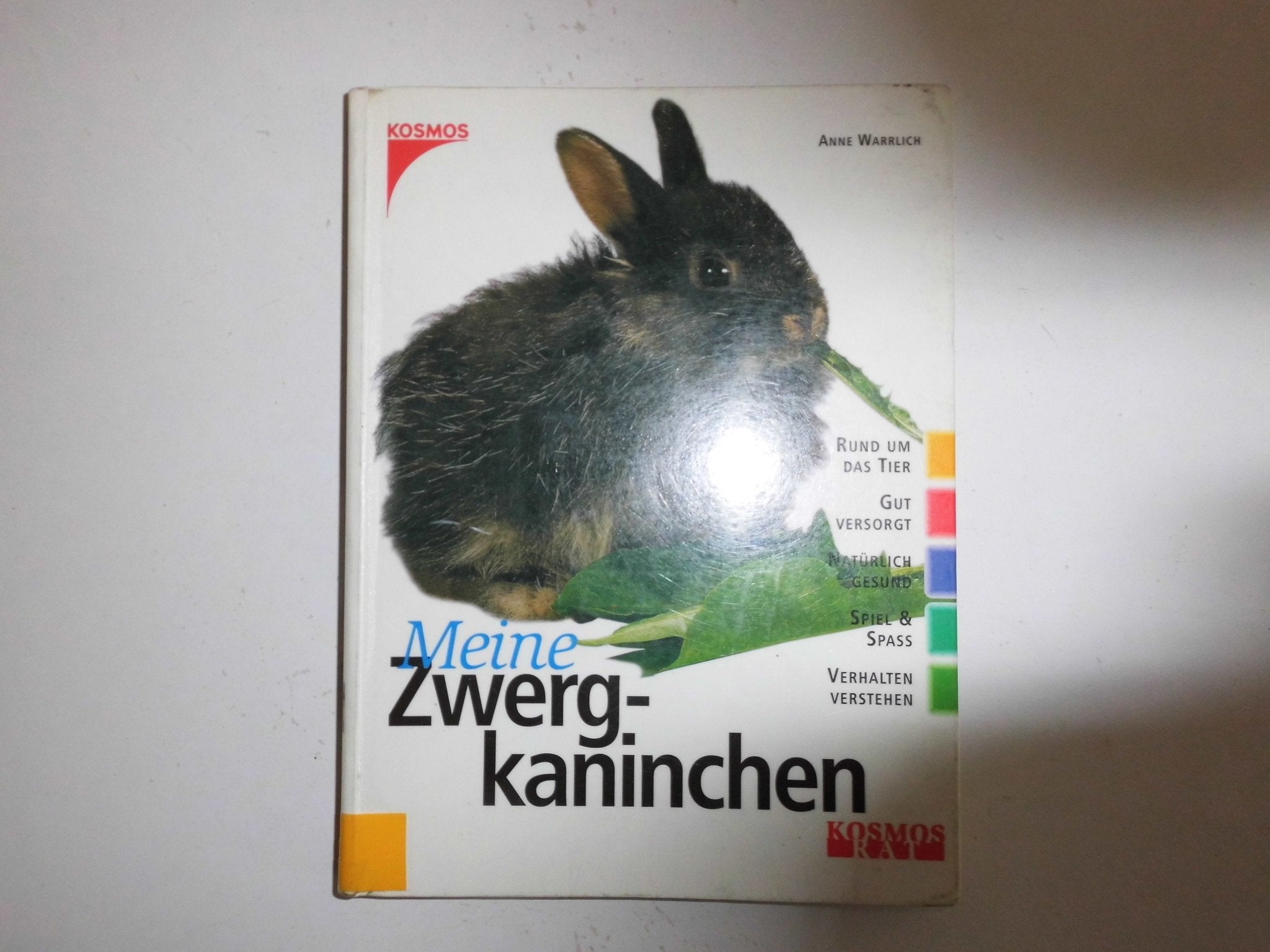Product Image: Meine Zwergkaninchen