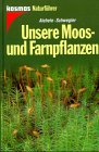 Unsere Moospflanzen und Farnpflanzen Garden & Plants