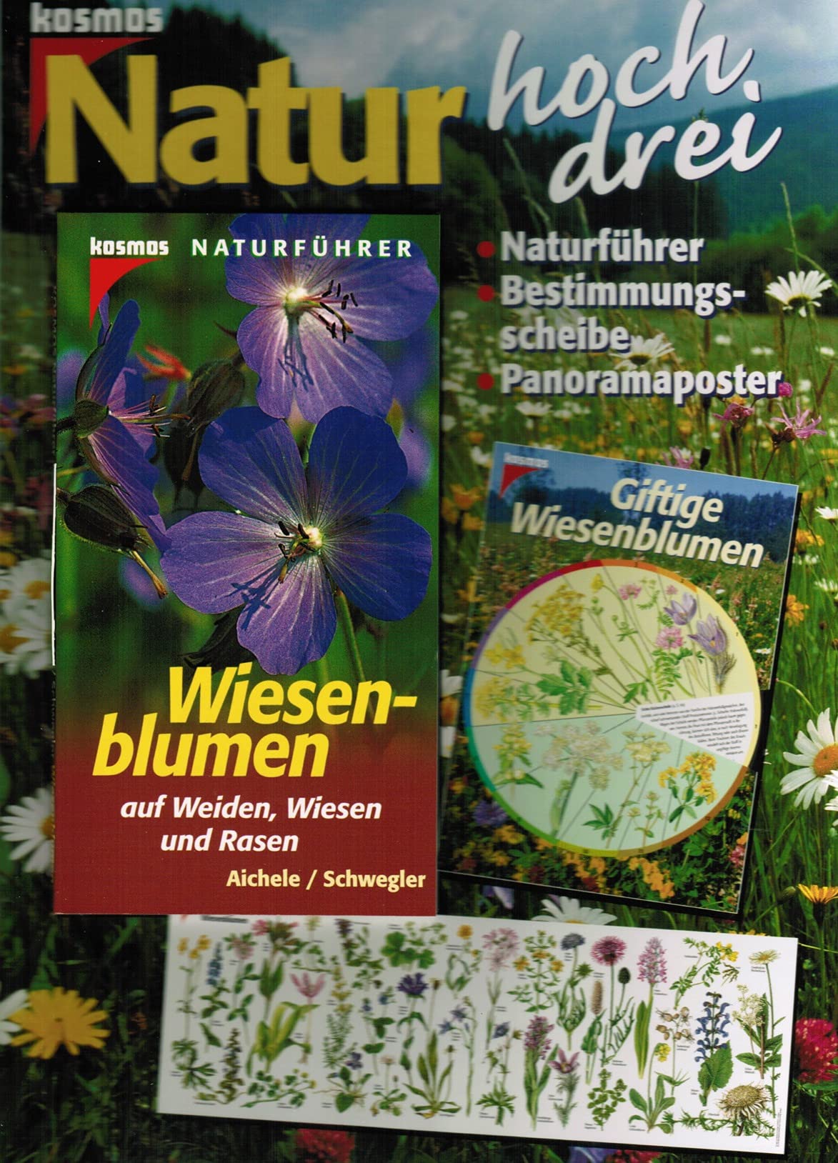 Wiesenblumen auf Weiden, Wiesen und Rasen, m. Bestimmungsscheibe u. Panoramaposter Garden & Plants