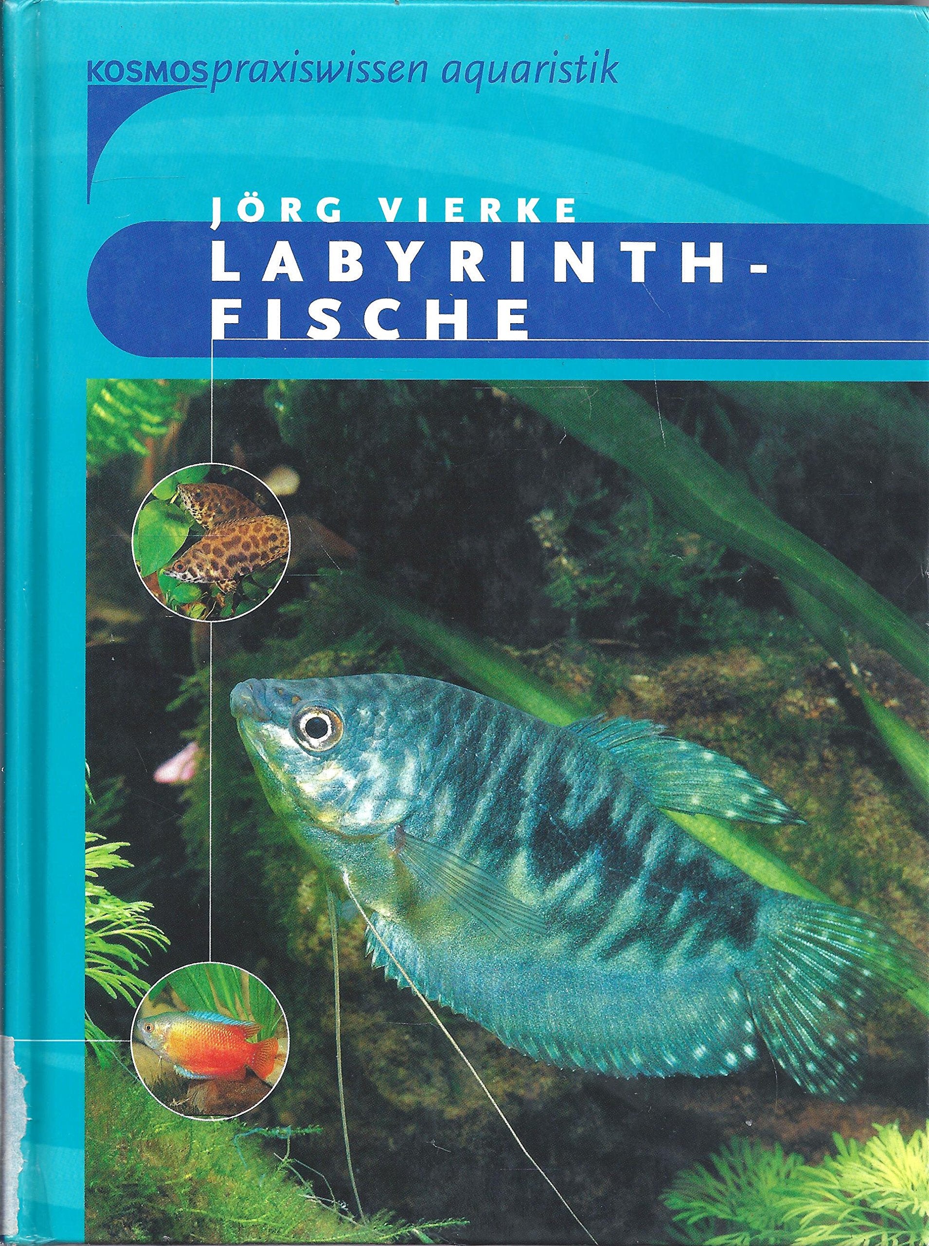 Labyrinthfische Natural Sciences